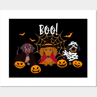 Halloween spirit  Dachshund dog Boo playful pumpkin Posters and Art